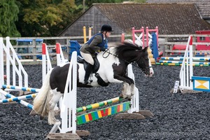 Class 2 -  Fences not above 2'